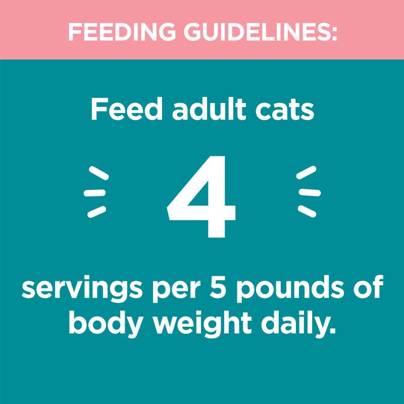 IAMS PERFECT PORTIONS INDOOR CUTS IN GRAVY - SALMON RECIPE