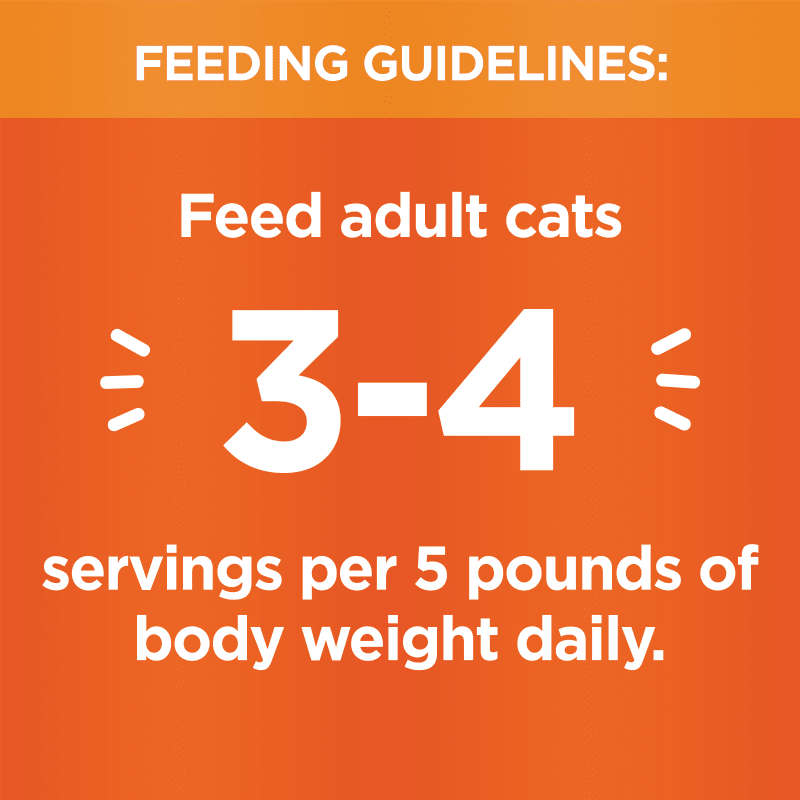 IAMS PERFECT PORTIONS HEALTHY ADULT PATe - CHICKEN RECIPE
