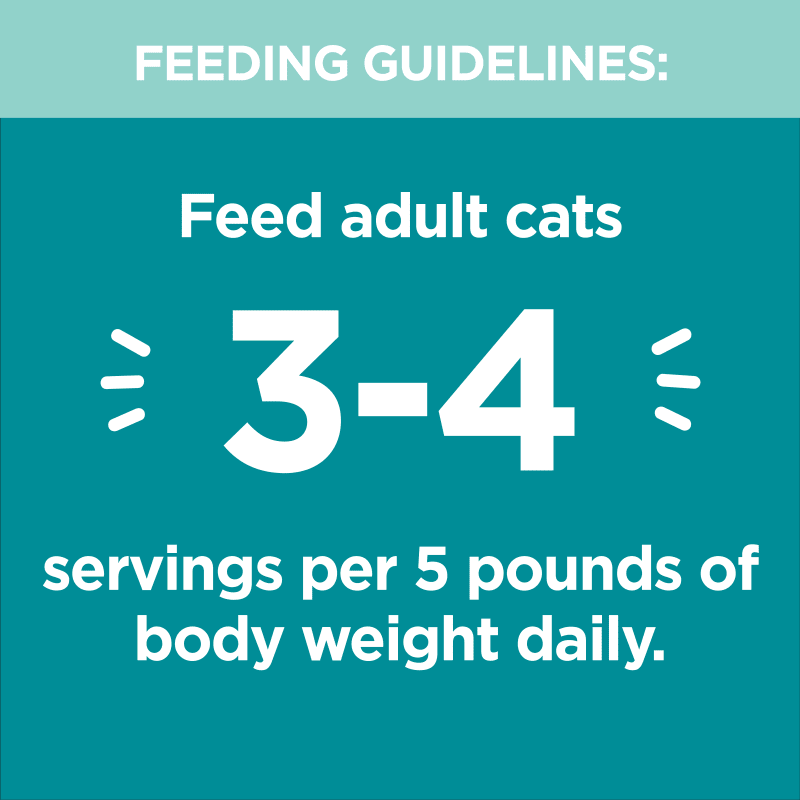IAMS PERFECT PORTIONS INDOOR CUTS IN GRAVY - TUNA RECIPE