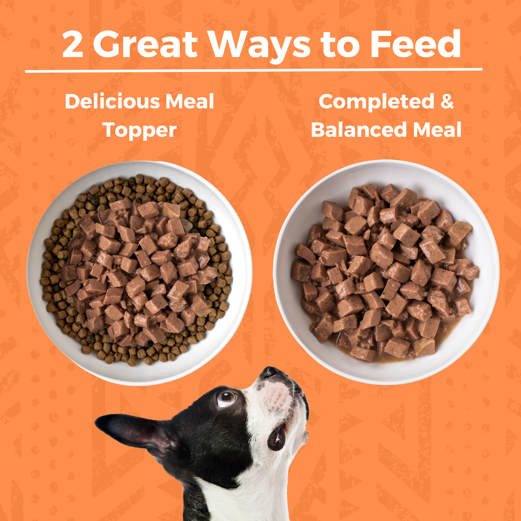 Minimal Ingredient Chicken Stew for Dogs– KOHA Pet
