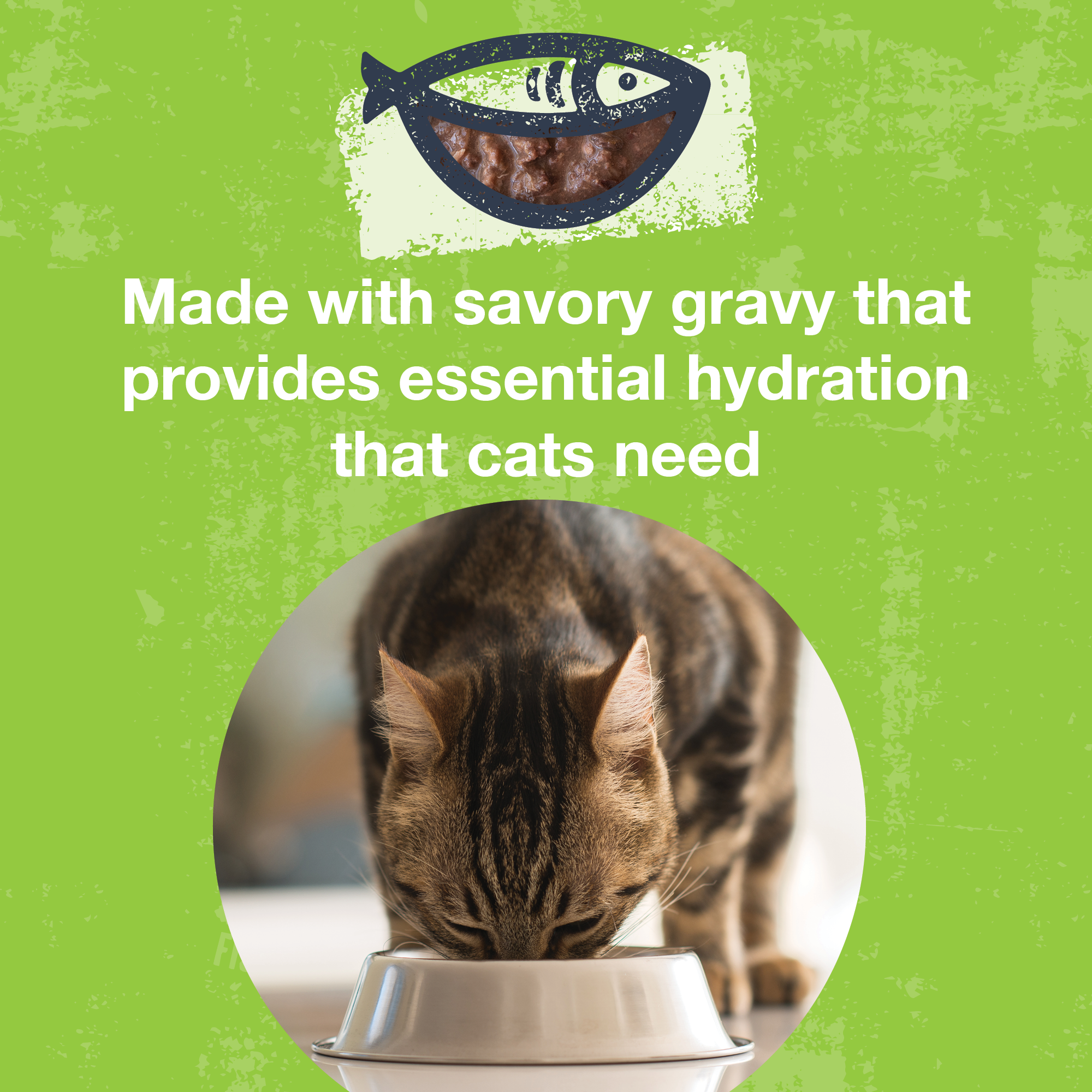 Pok Bowl Tuna & Duck Entre in Gravy for Cats– KOHA Pet