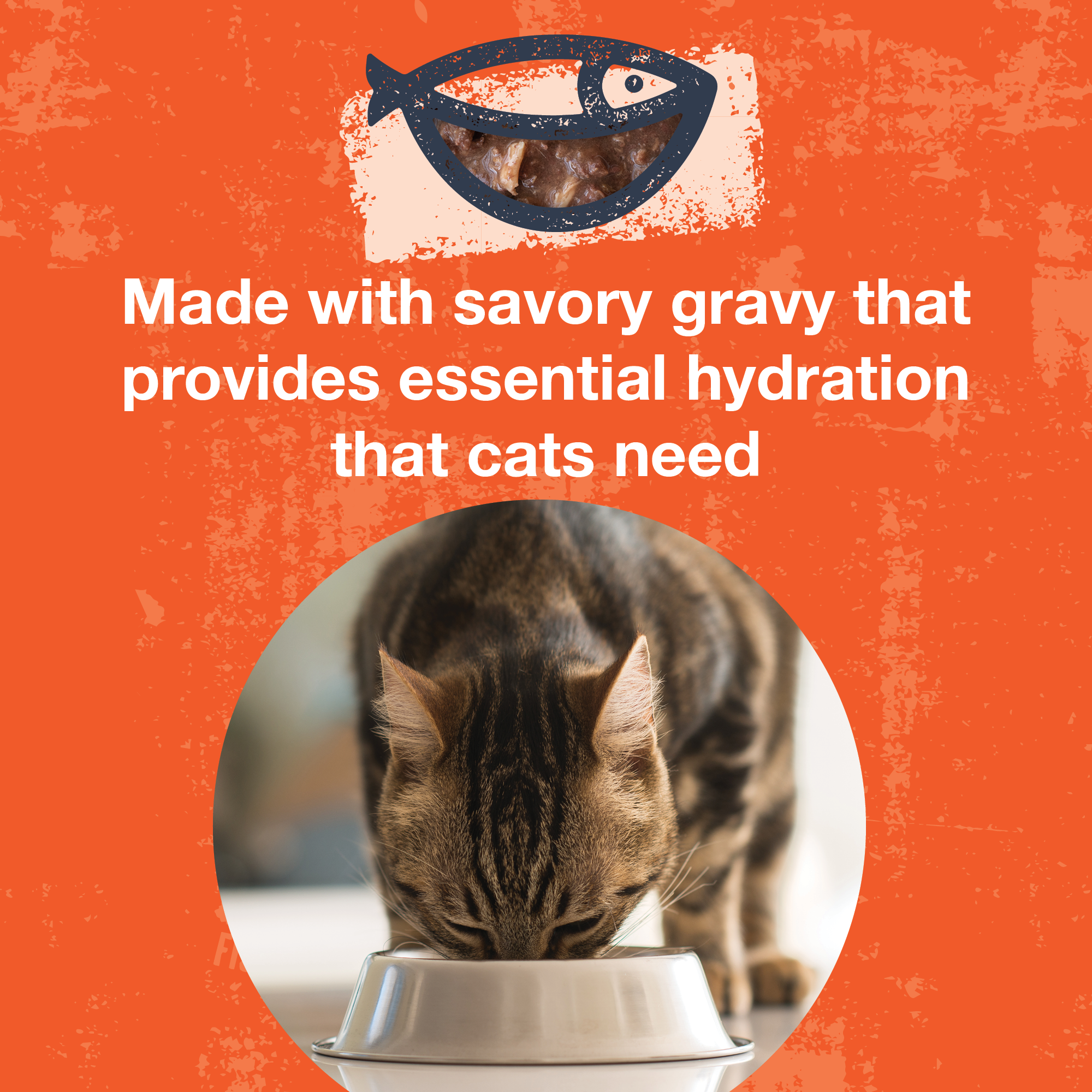 Pok Bowl Tuna & Chicken Entre in Gravy for Cats– KOHA Pet