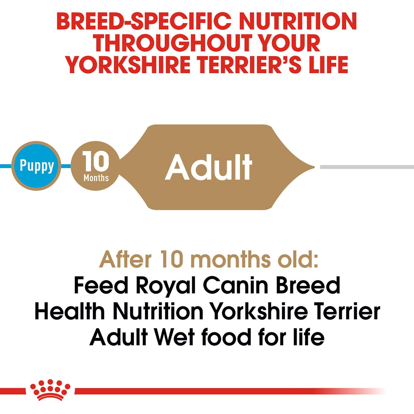 Yorkshire Terrier Adult Canned Dog Food