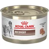 Feline and Canine Recovery Ultra Soft Mousse in Sauce