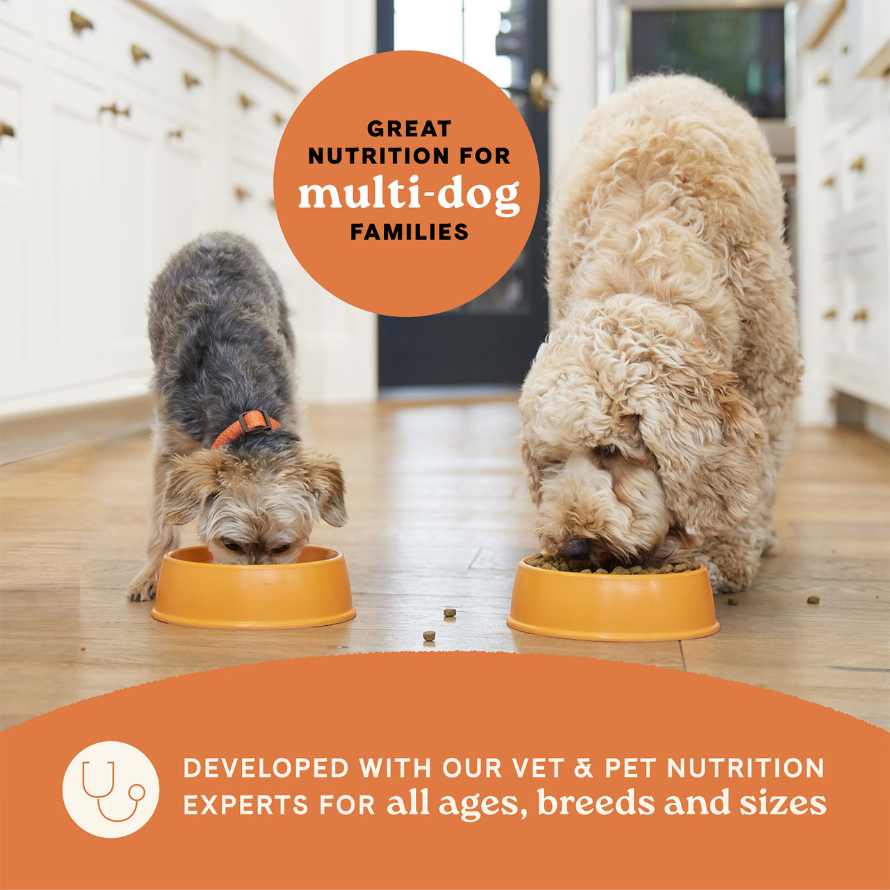 All Life Stages Dry Dog Food Real Salmon & Ancient Grains RecipeGÇï