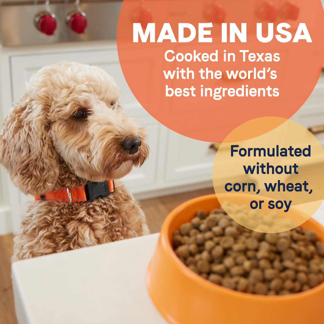 All Life Stages Less Active Dry Dog Food: Chicken, Turkey, & Lamb Meal - Canidae