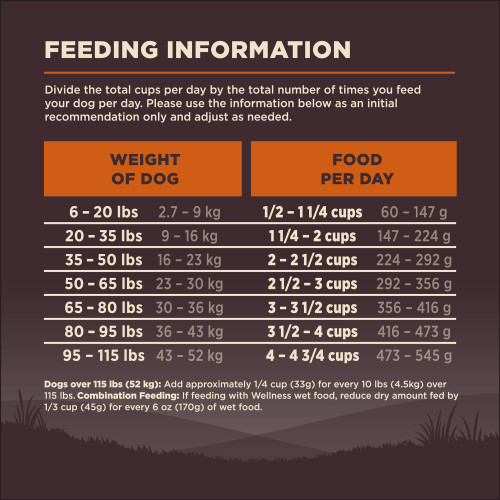 CORE Wholesome Grains Original Turkey Chicken