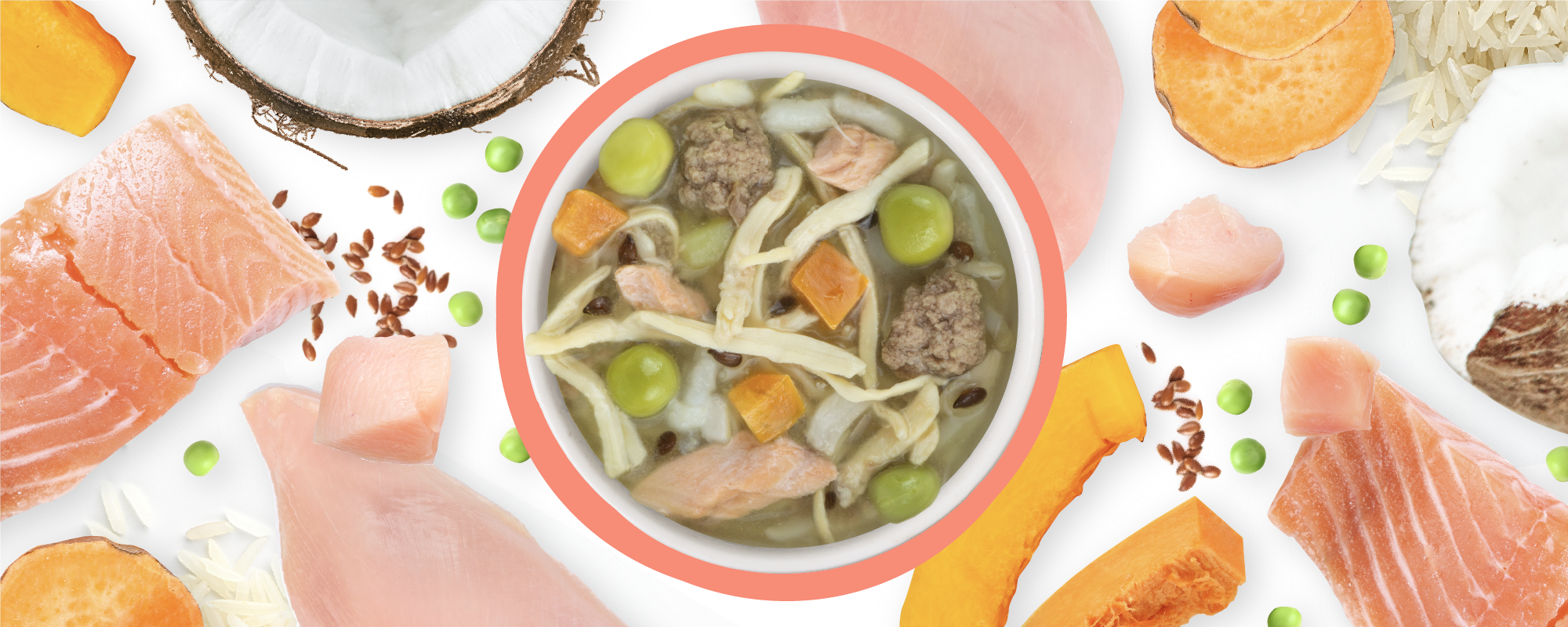 Weruva BFF Fun Size Meals We Be Jammin' Chicken & Salmon Wet Dog Food
