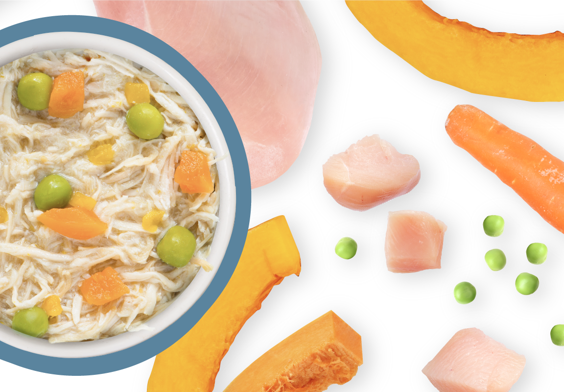 Weruva Classic Dog Grandma's Chicken Soup with Veggies Wet Canned Food