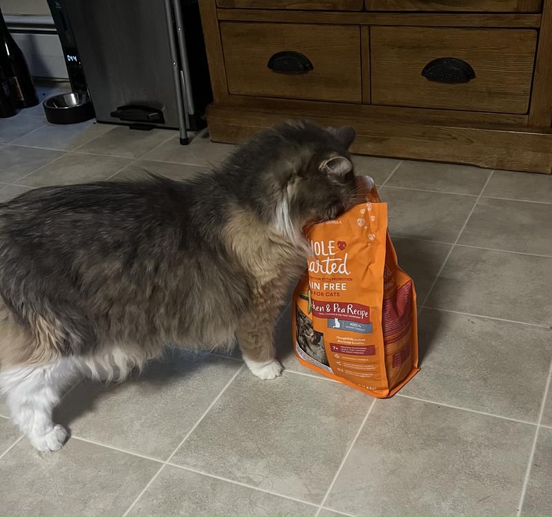 WholeHearted Grain Free Senior Chicken Recipe Dry Cat Food, 12 lbs.