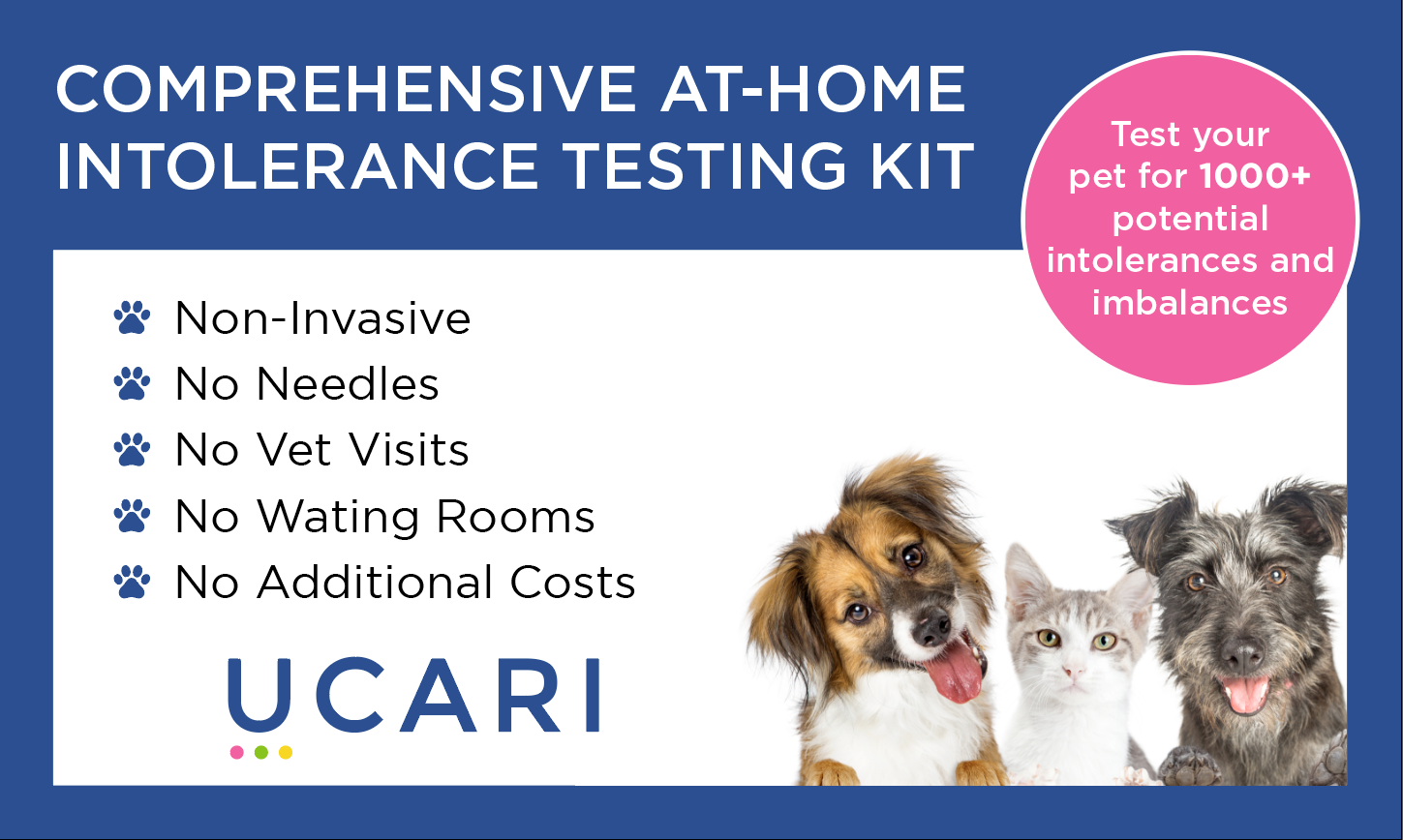 Pet allergy test kit benefits